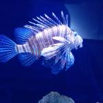 Need The Needs Profile Picture